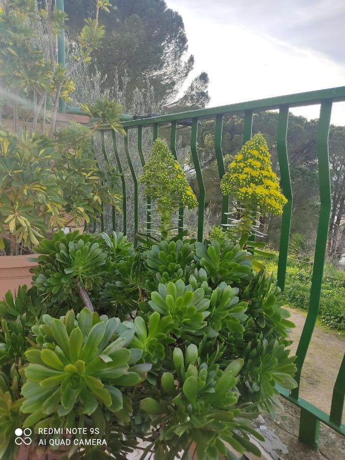 B&B Borgo Pileri Mazzarino Екстериор снимка